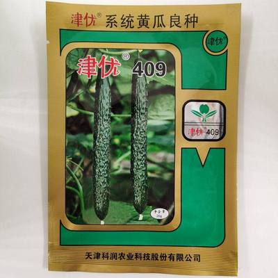 409种子种业刺瓜天津科润黄瓜油亮种子良种春夏秋季蔬菜种孑