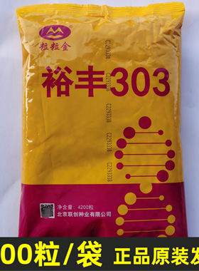 裕丰303玉米种子国审高产抗病抗倒矮杆大棒苞谷种子玉米种籽