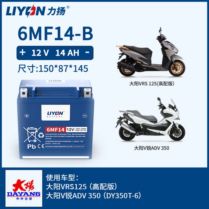 力扬电池大阳V锐ADV350 大阳VRS125(高配版)大阳踏板 摩托车电瓶