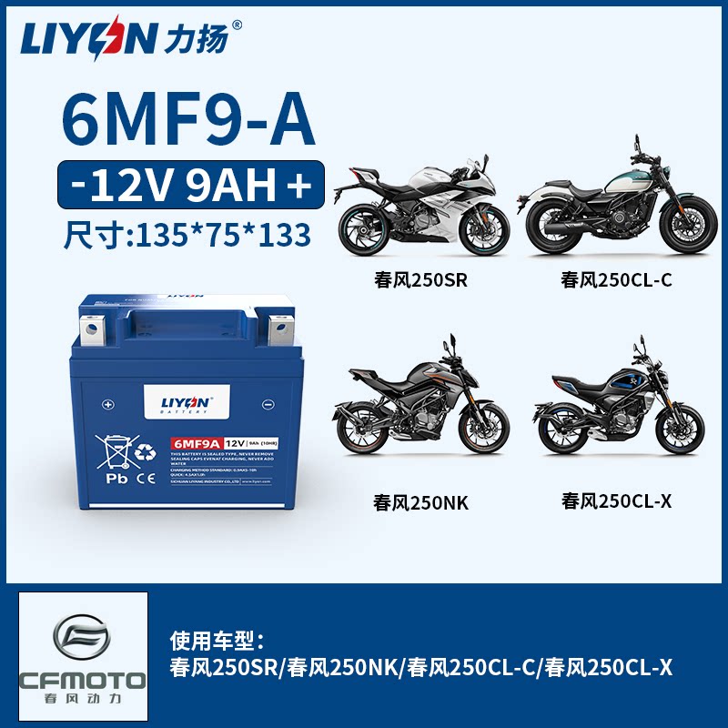 力扬电池春风150SC/NK250/SR400/450SR/650NK/国宾 冬季专用电瓶
