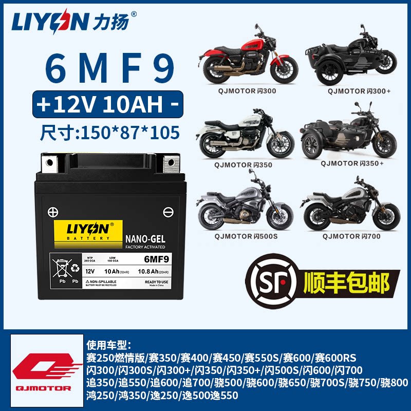 力扬电池钱江闪300闪300S闪300+闪350闪350闪500S闪600闪700电瓶图片