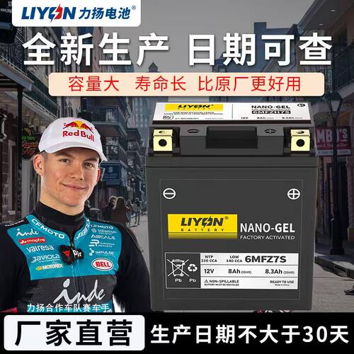 力扬电池启典KIDEN 150-L/V/J/K/F/H摩托车铅酸电池免维护12V