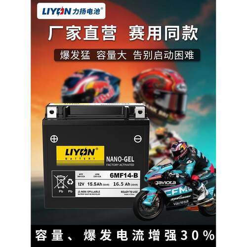力扬电池春风150SC/NK250/SR400/450SR650NK/国宾700CLX800MT电瓶