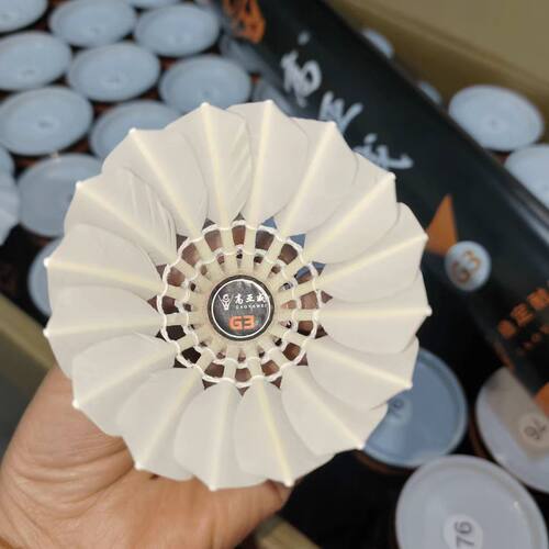 高亚威G3新款羽毛球专业耐打
