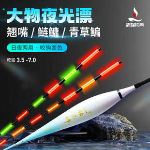 刘志强鲢鳙大物夜光漂高灵敏电子漂加粗醒目漂硬尾钓鱼漂日夜两用