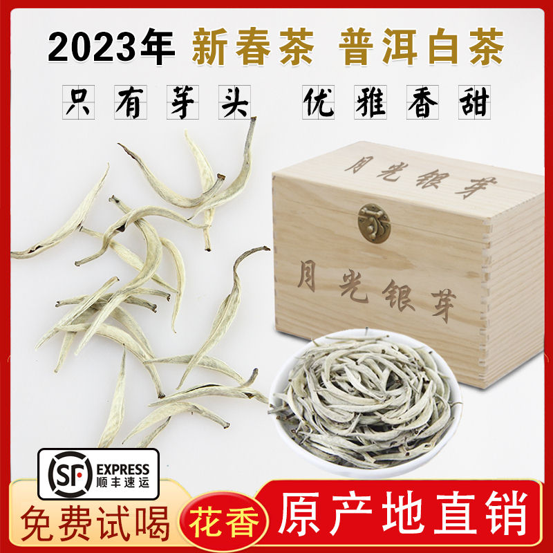 白茶茶乡茶窖白毫银针