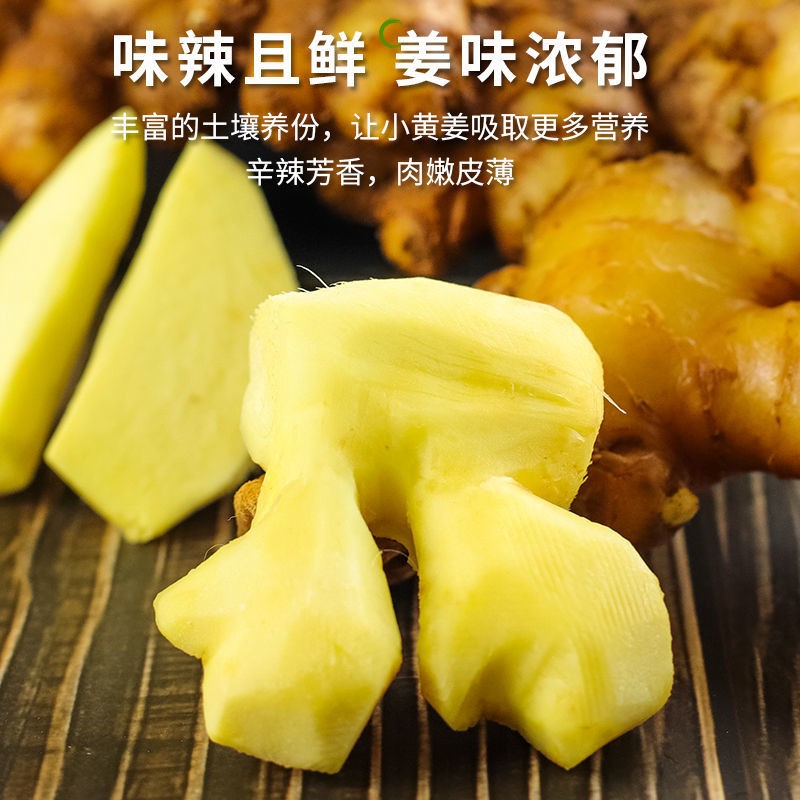 【两年老姜】正宗云南高山小黄姜新鲜生姜老姜鲜姜辛辣香辣包邮
