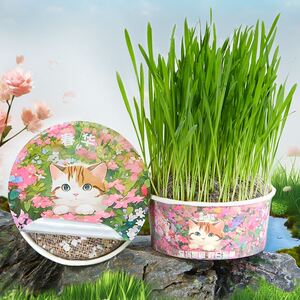 贪吃马春季混合猫草化毛排毛宠物用品猫咪零食猫草排毛化毛去毛球