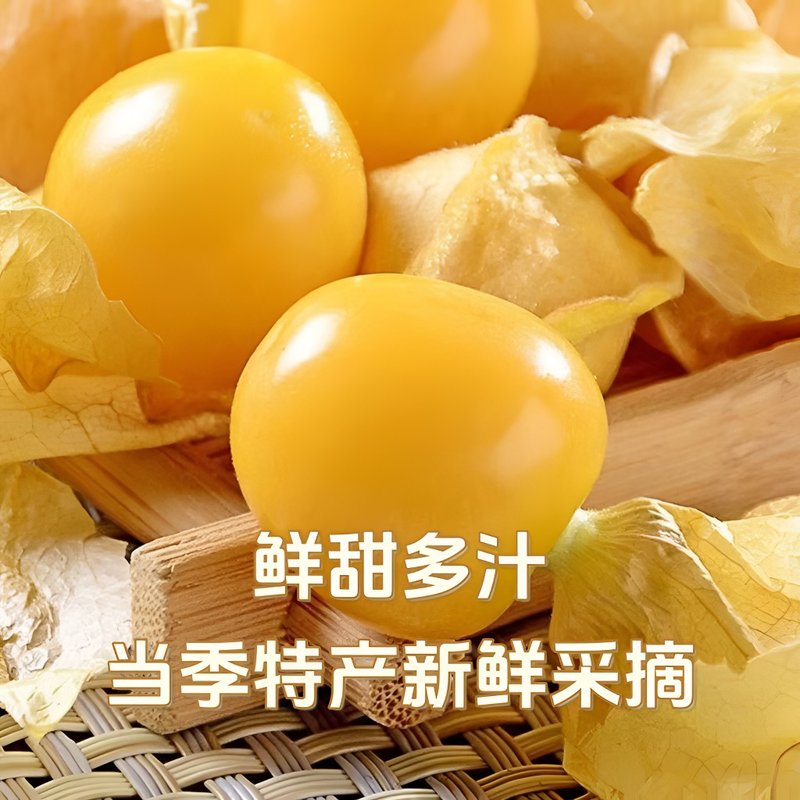东北姑娘果香甜多汁菇茑果灯笼果特产水果水果黄姑娘