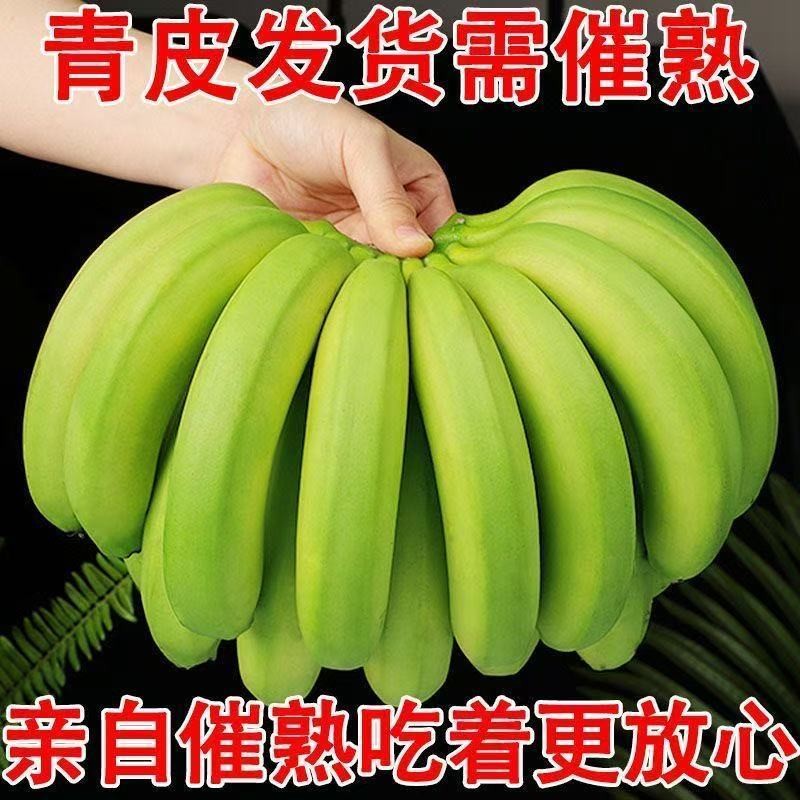 青皮香蕉广西高山种植自然成熟甜香蕉软糯香甜新鲜水果3/5斤
