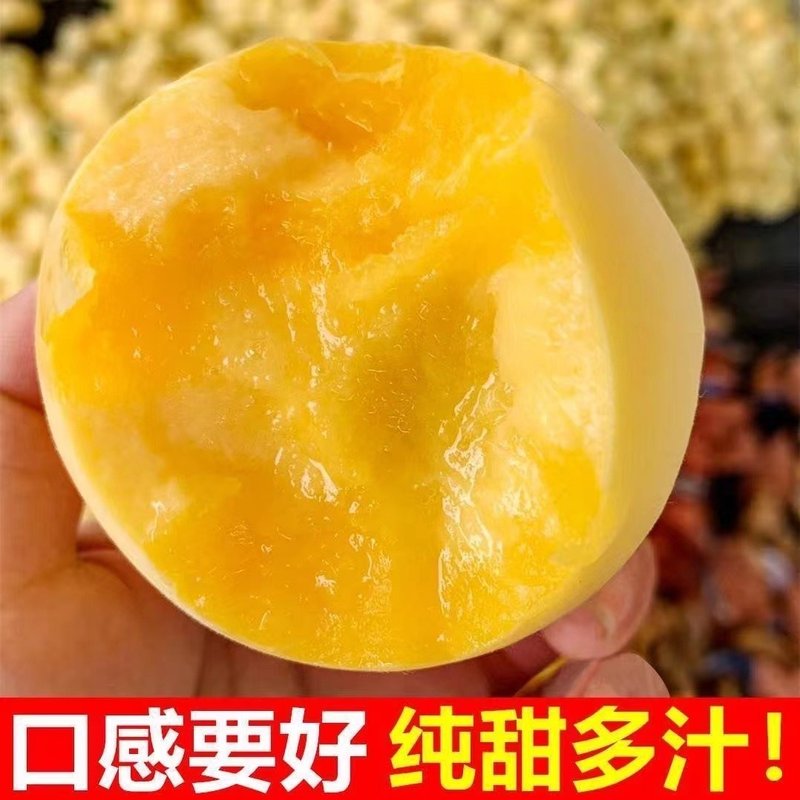 【】新鲜头茬锦绣黄桃徐州黄桃当季水果脆甜多汁
