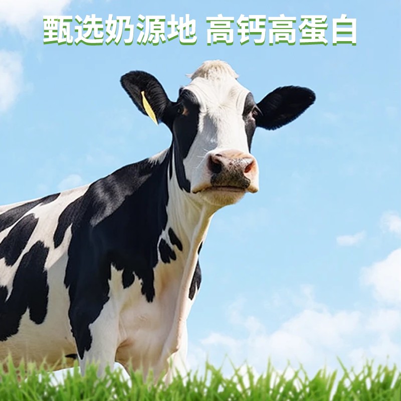 少昔牧场草原烤酸奶108g高钙高蛋白内蒙特产内蒙古烤烤奶条