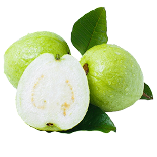 顺丰10斤白心软芭乐水果新鲜包邮番石榴低糖奶油鲜果福建当季整箱