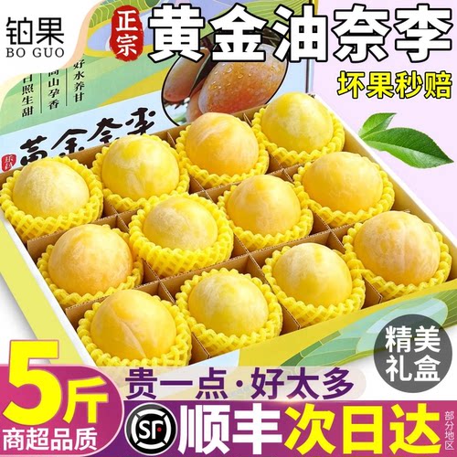 顺丰次日达丨5斤礼盒装黄金奈李