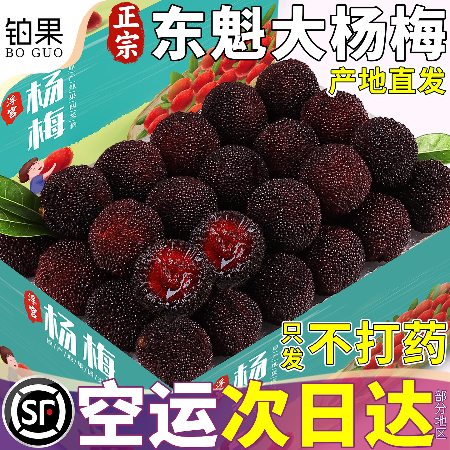 顺丰空运6斤漳州东魁大杨梅鲜果新鲜现摘现发水果颗粒装整箱包邮9