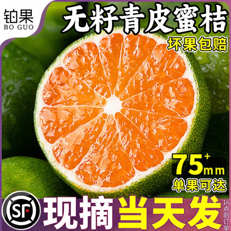 无籽青皮蜜桔5斤现摘闪发