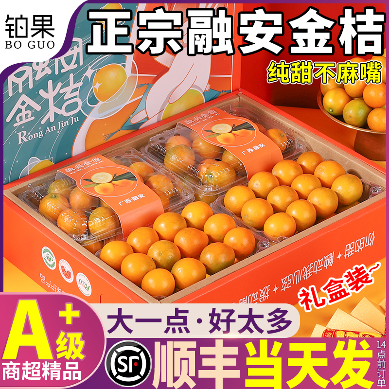 顺丰次日达丨5斤融安金桔礼盒