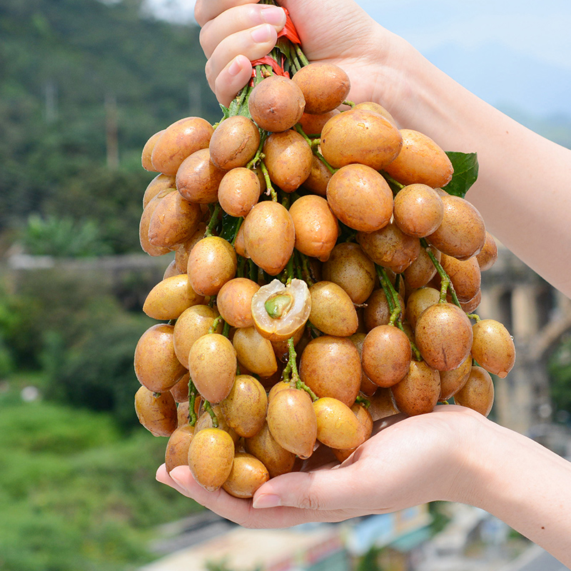 [Shun Feng]fresh Yellow peel fruit 3 Season fruit pregnant woman Full container Iced sugar 6in the Aquatic meat/Fresh fruits and vegetables/Cooked , Fresh fruit , Other  category - from Buy2taobao.com to provide professional Taobao agent buy service
