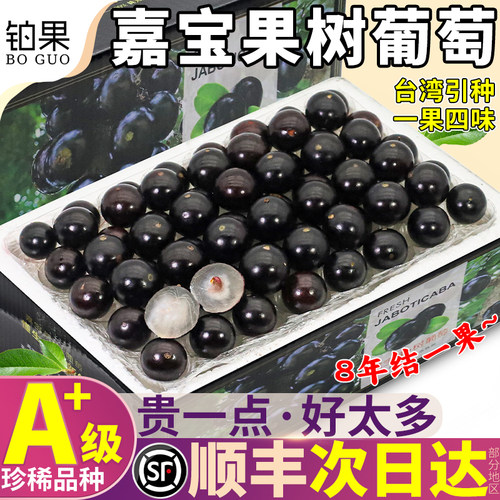 顺丰次日达！嘉宝果高端礼盒