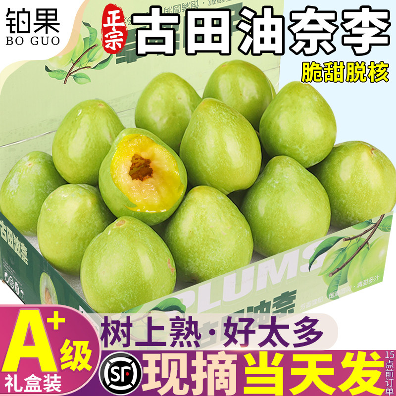 顺丰礼盒10斤古田油奈李新鲜李子水果当季蜂糖李脱骨脆桃形脆李子