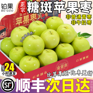 包邮 顺丰礼盒苹果枣10斤青枣新鲜水果福建牛奶大青枣脆甜当季 整箱