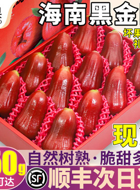 顺丰次日达丨老店甄选黑金刚莲雾