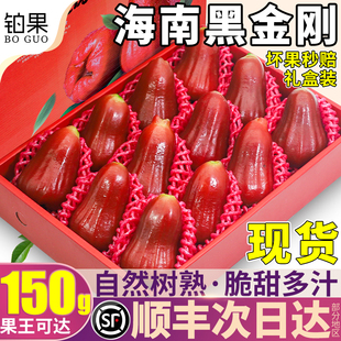 顺丰现货 5斤黑金刚莲雾新鲜水果特大果清甜海南一号当季整箱包邮