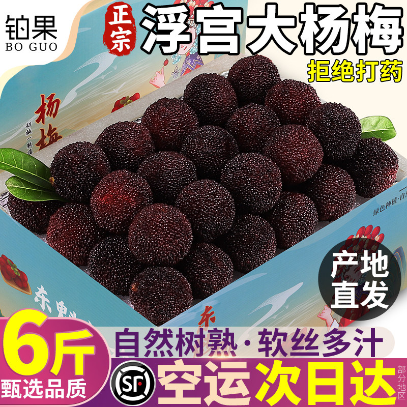 现货空运6斤漳州浮宫大杨梅新鲜水果现摘当季现摘整箱孕妇包邮甜