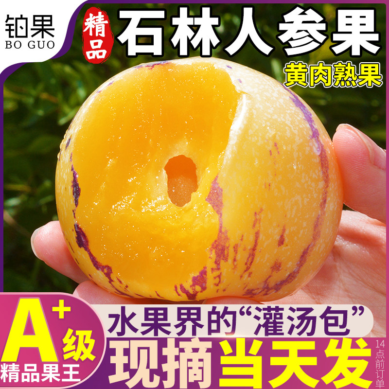树上熟正宗云南石林人参果新鲜水果5斤黄肉圆果人生现摘整箱包邮