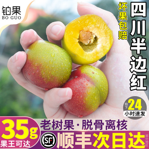 顺丰次日达丨正宗茵红李5斤脆甜