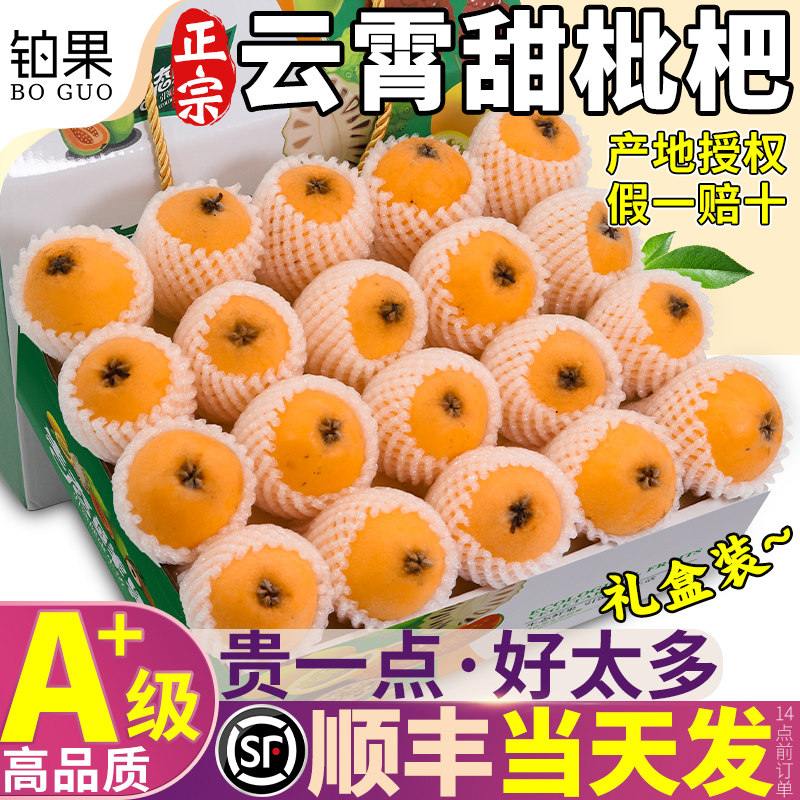 顺丰包邮 5斤云霄枇杷鲜果琵琶水果新鲜现摘枇杷当季整箱旗舰店甜
