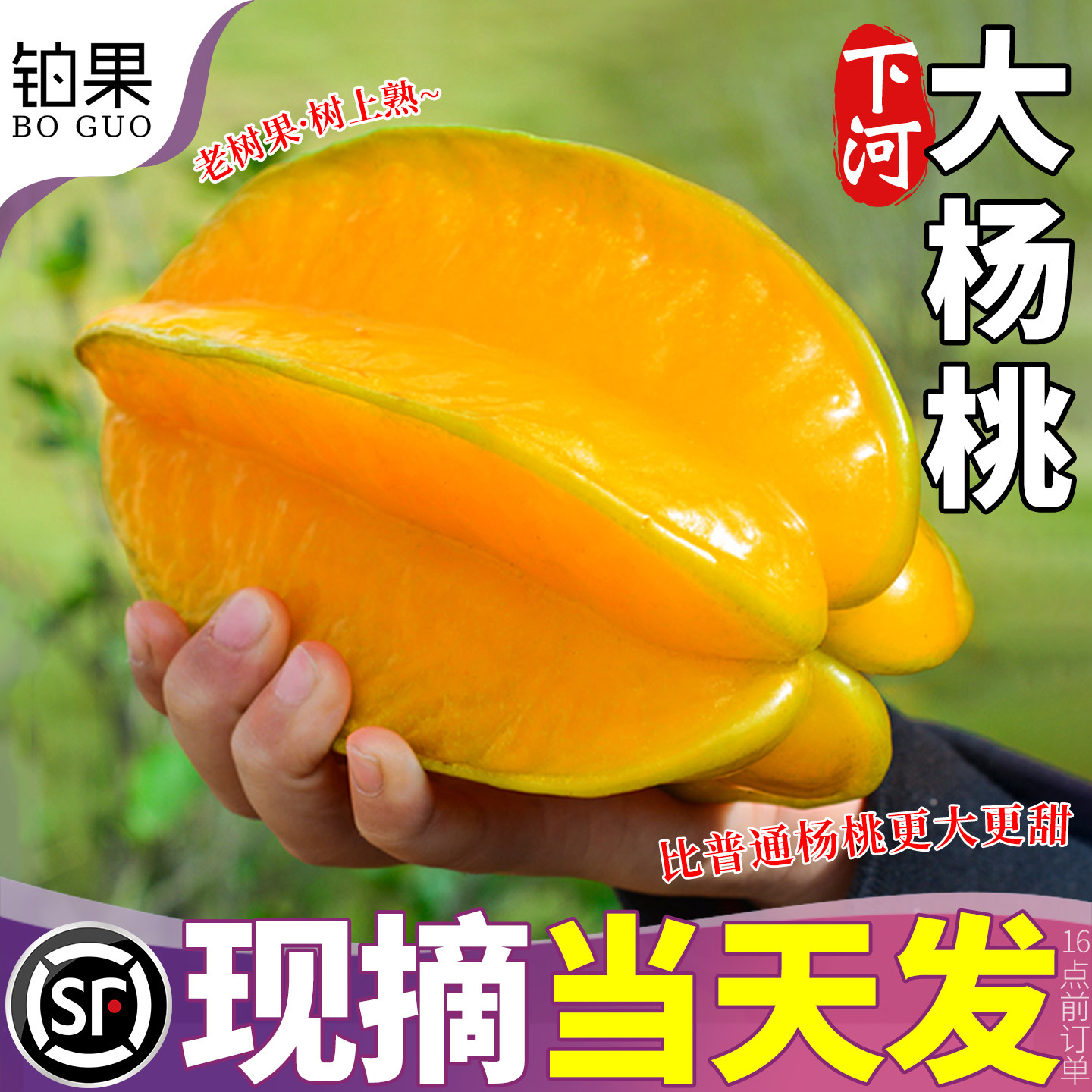 顺丰大果 5斤漳州下河杨桃新鲜水果五角星现摘当季正宗整箱包邮甜