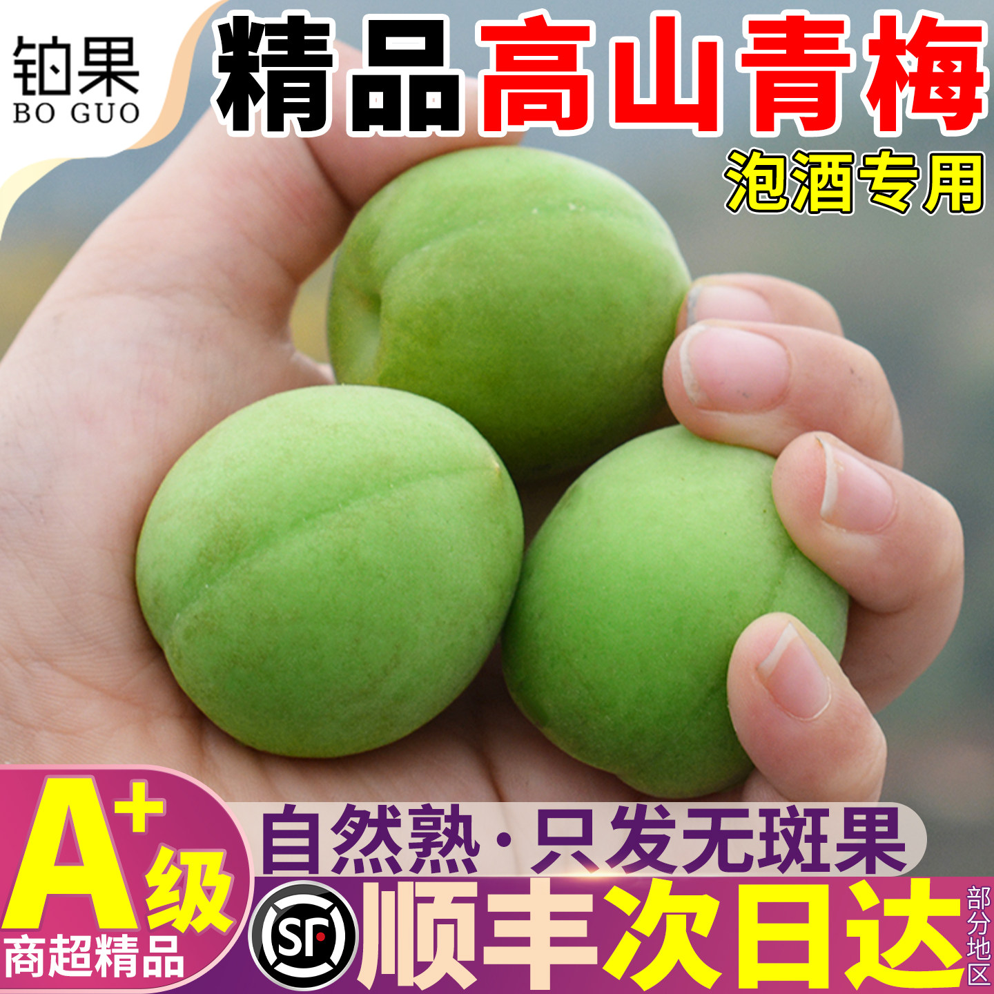 顺丰青梅鲜果15斤新鲜现摘泡酒专用梅子鲜果诏安泡酒水果大果包邮