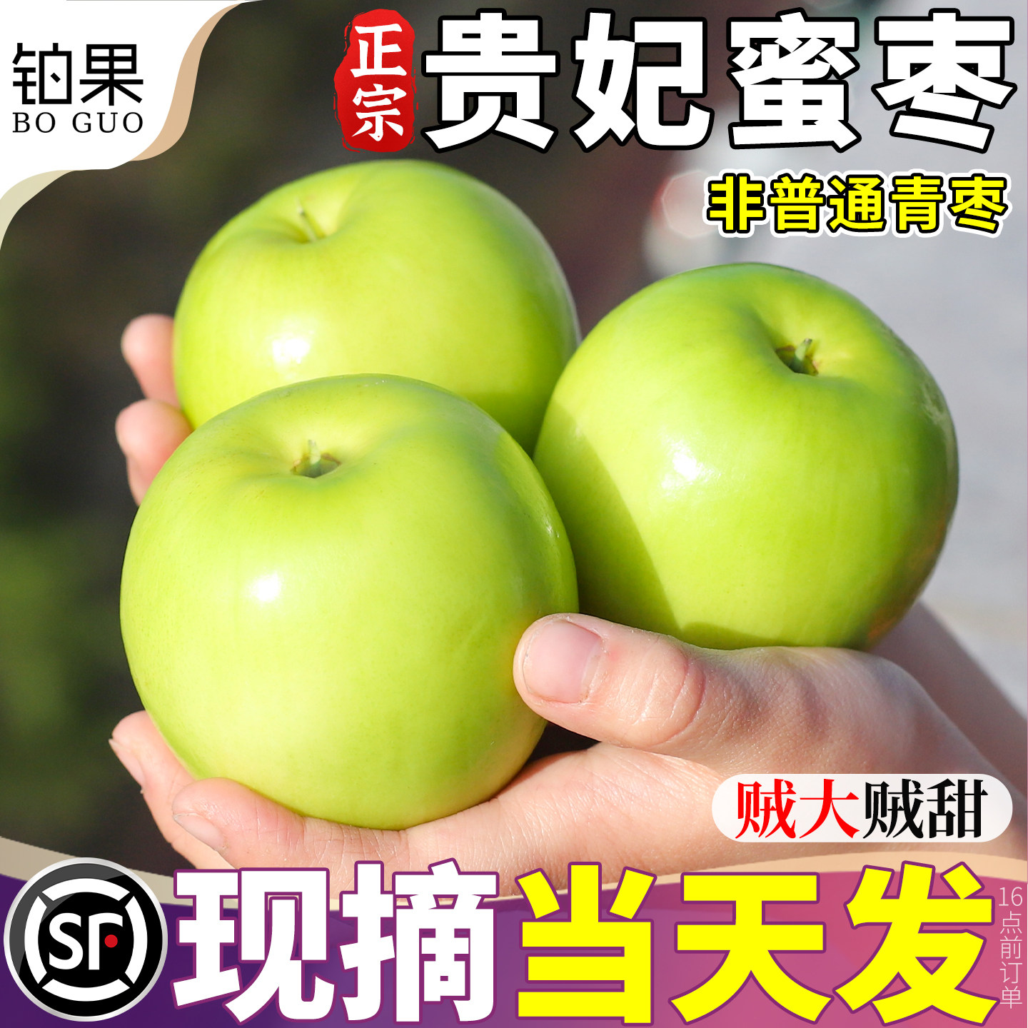 顺丰 贵妃蜜枣牛奶枣大青枣新鲜水果9斤现摘苹果枣脆福建礼盒整箱