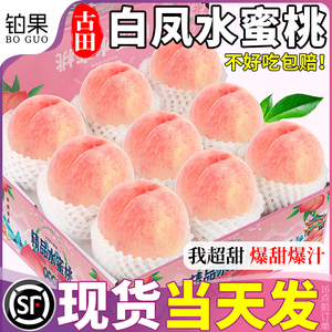 顺丰速达 5斤古田白凤水蜜桃子新鲜水果当季现摘毛桃礼盒整箱包邮