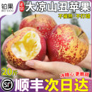 应季 包邮 整箱 顺丰礼盒20斤大凉山丑苹果冰糖心苹果新鲜水果当季