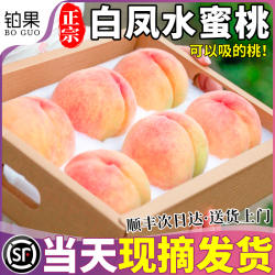 顺丰10斤正宗古田水蜜桃应季新鲜水果桃子鲜果当季整箱包邮龙泉甜