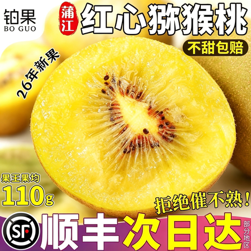 顺丰特大果四川浦江红心猕猴桃