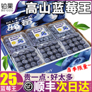 旗舰店 包邮 顺丰云南蓝莓新鲜水果12盒怡颗鲜莓果花香当季 现摘整箱