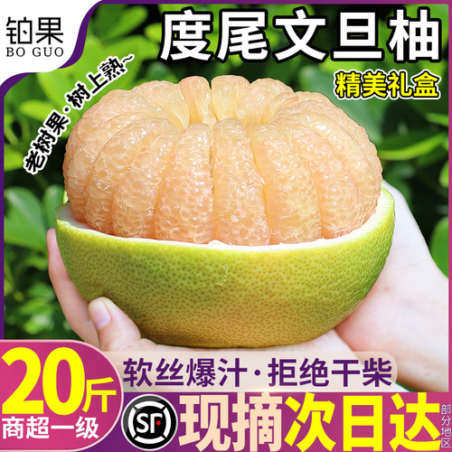 顺丰当天发|度尾文旦柚|高端礼盒