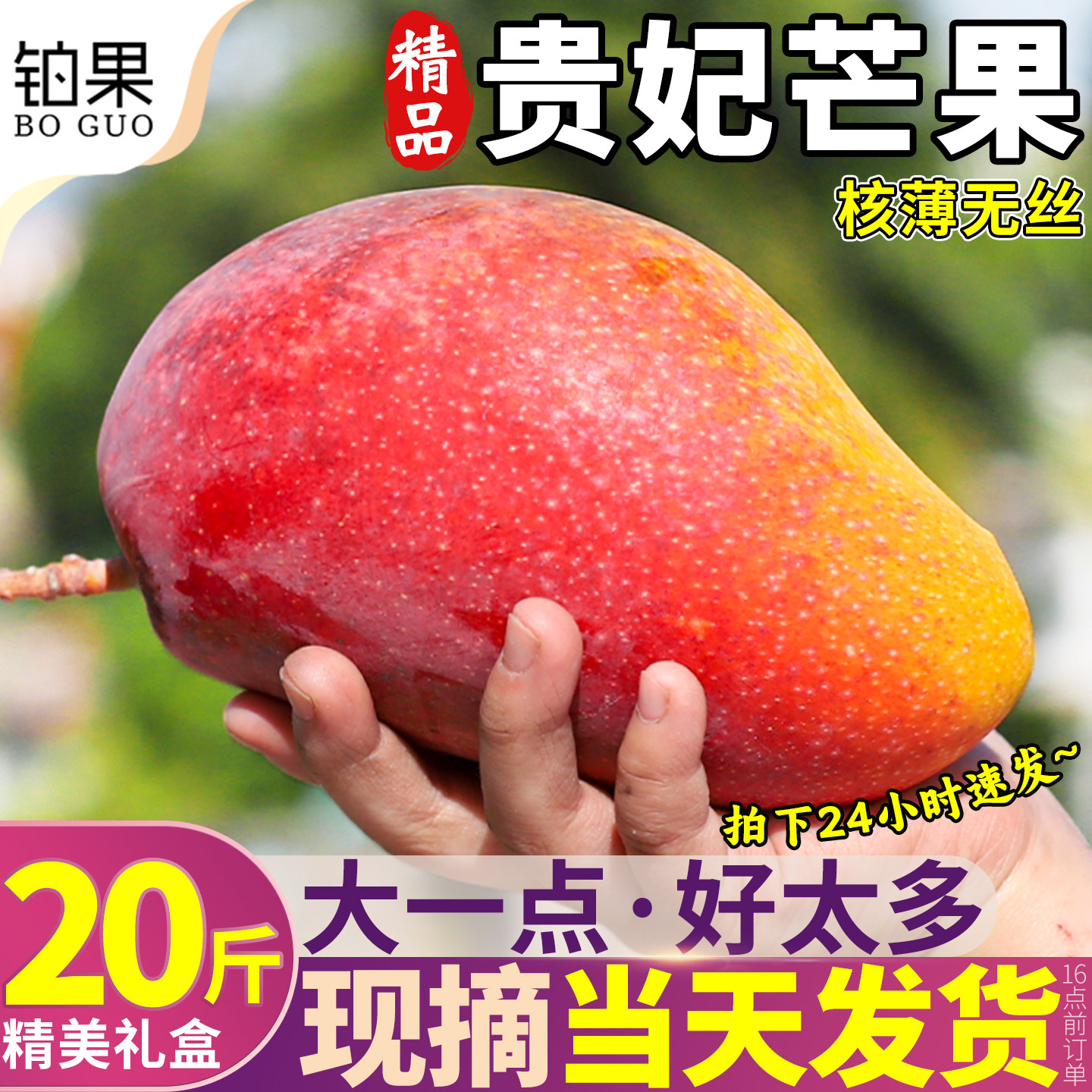 礼盒  20斤海南贵妃芒新鲜水果芒果当季红金玉青煌芒辣椒整箱包邮