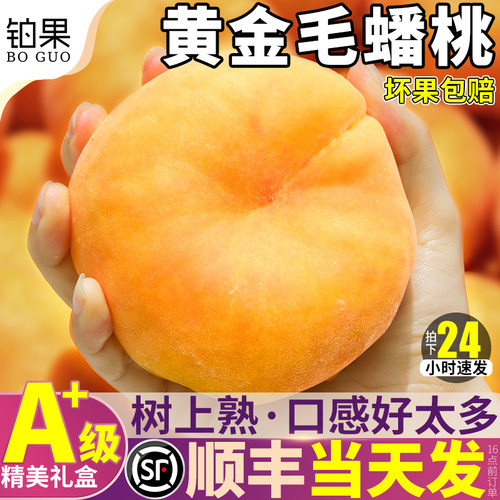 顺丰次日达丨5斤黄毛蟠桃礼盒