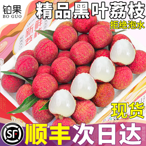 顺丰次日达丨礼赠首选老树荔枝