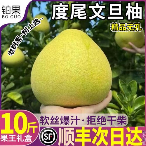 顺丰速达|度尾文旦柚|高端礼盒