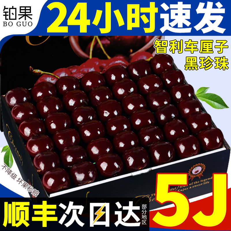 顺丰智利车厘子新鲜水果包邮5斤装礼盒当季进口3j樱桃5j整箱包邮4,水产肉类/新鲜蔬果/熟食,车厘子/樱桃,淘宝优惠券,粉丝福利购,淘宝优惠卷
