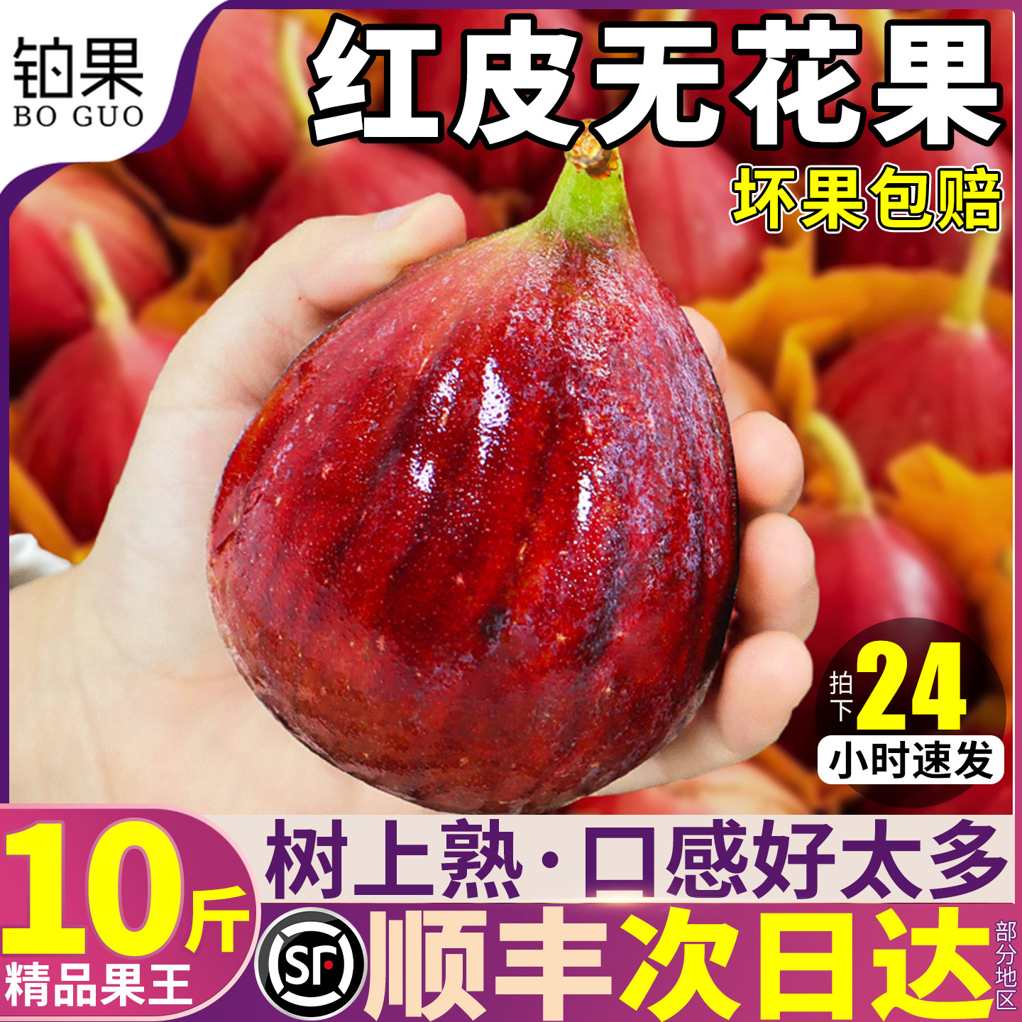 树上熟糖包子丨10斤红皮无花果