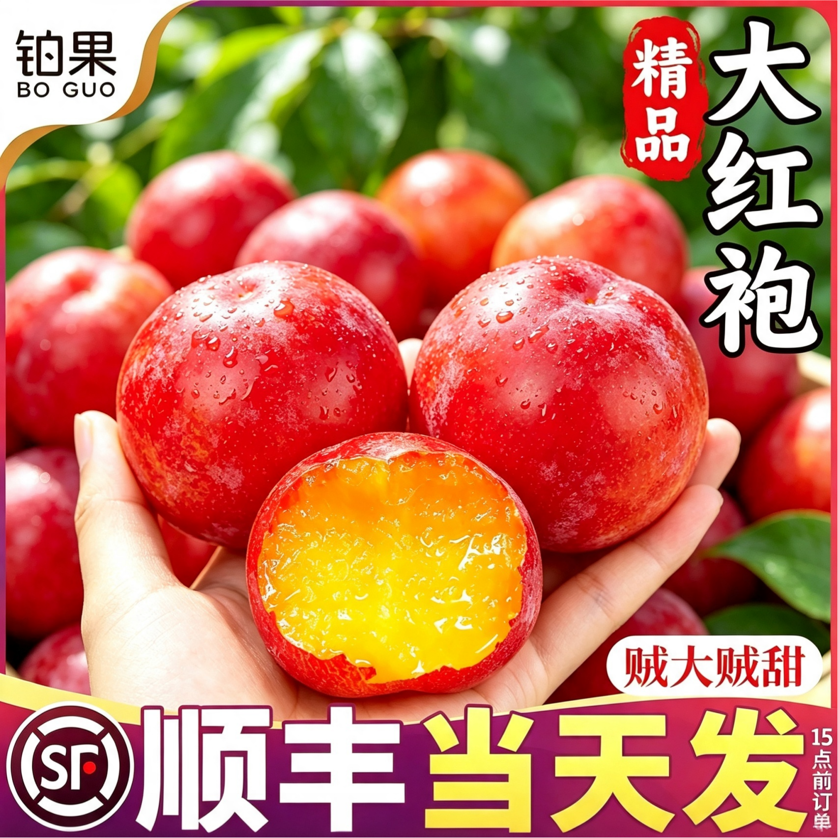 顺丰10斤礼盒丨超脆甜！大红袍李