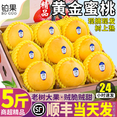顺丰次日达丨正宗黄金蜜桃树上熟
