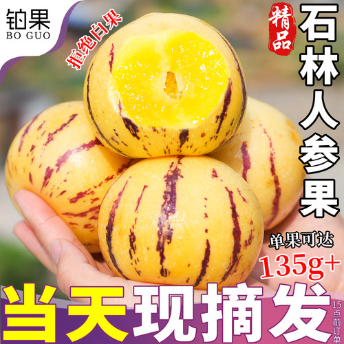 5斤礼盒丨树上熟圆果石林人参果