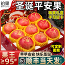 包邮 红富士整箱 平安果新鲜水果圣诞节苹果玩偶礼物当季 顺丰礼盒